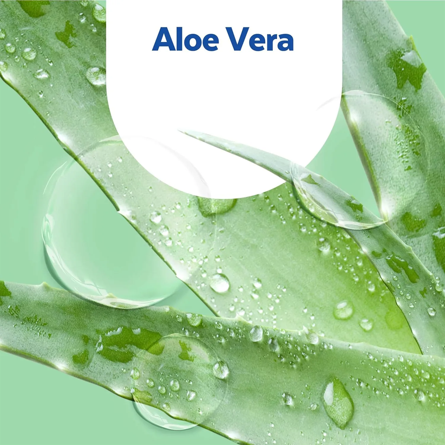 Sagrotan No-Touch Seifenspender Weiß Set 2x250ml Aloe Vera