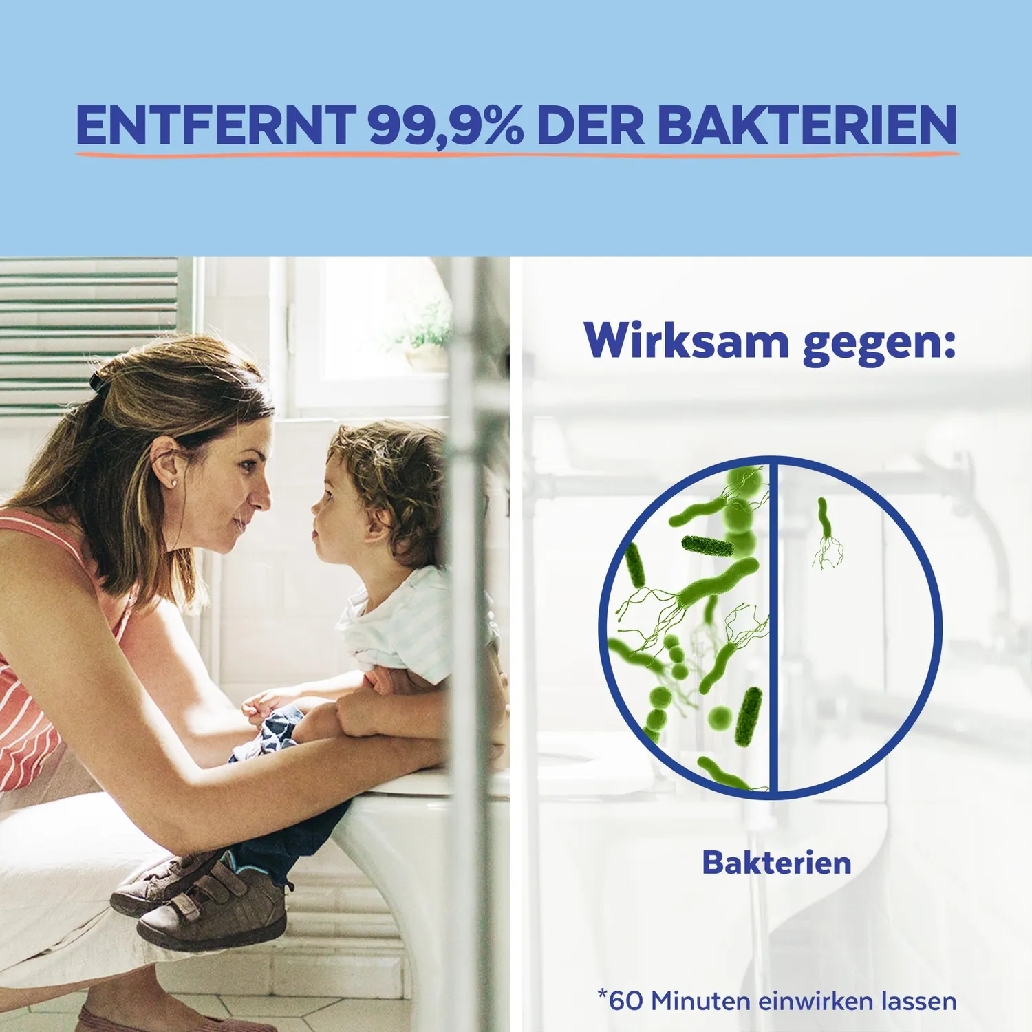 Sagrotan WC-Reiniger Blütenfrische WC-Gel 750 ml Antischmutzfilm