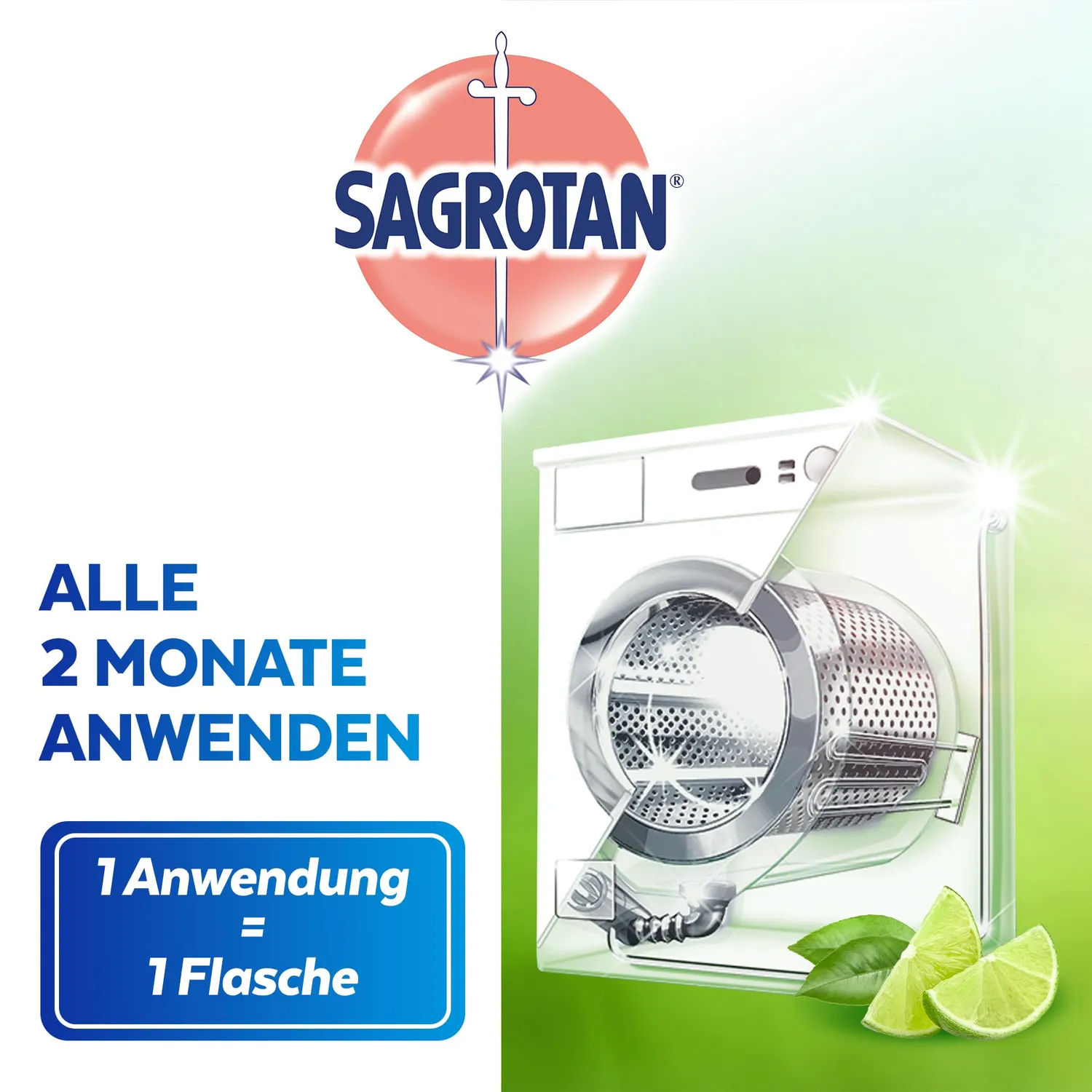 Sagrotan Waschmaschinen Hygiene-Reiniger Limette 4x250ml