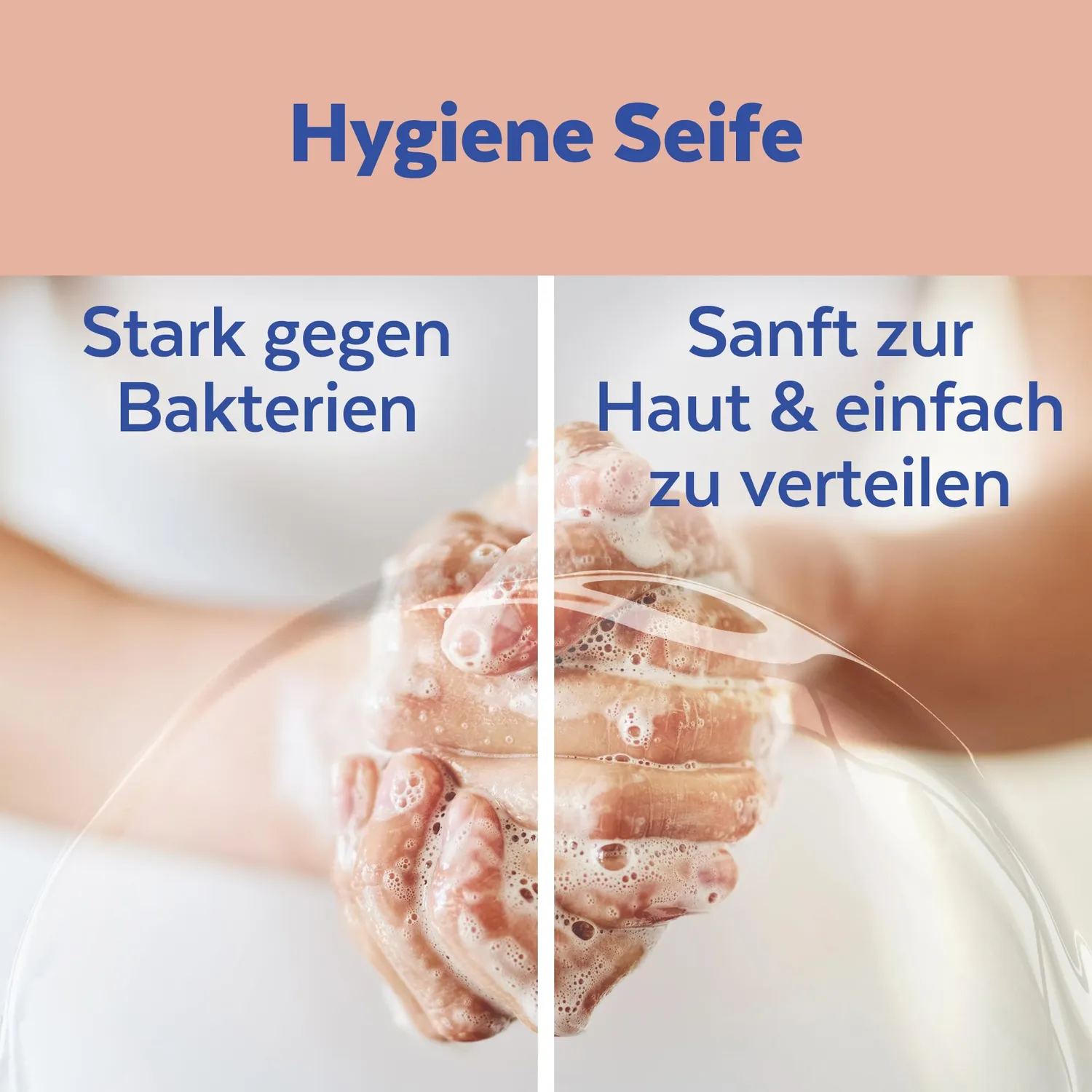 Sagrotan Samt-Schaum Kirschblüte Rose 250 ml Seife