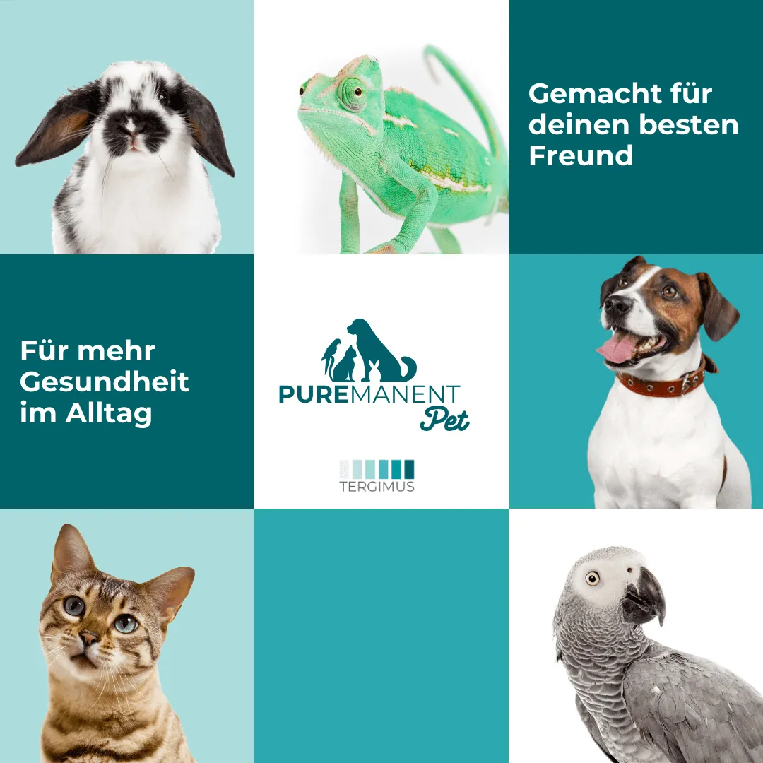 PUREMANENT Pet Desinfektionsreiniger tierfreundlich alkoholfrei