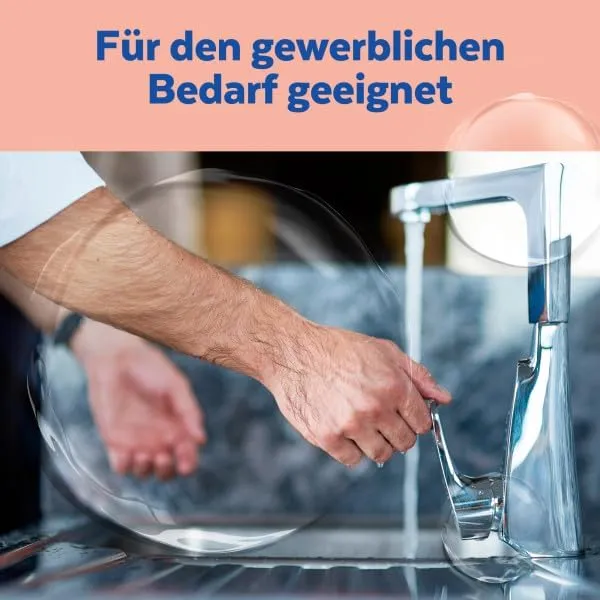 Sagrotan Handseife 5 L Zitrus Nachfüllung