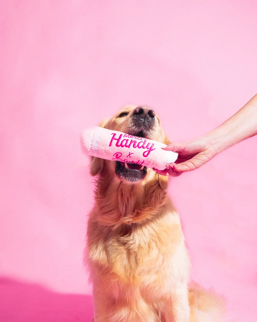 Merci Handy Peluche Lip Gloss x Bandit Hundespielzeug