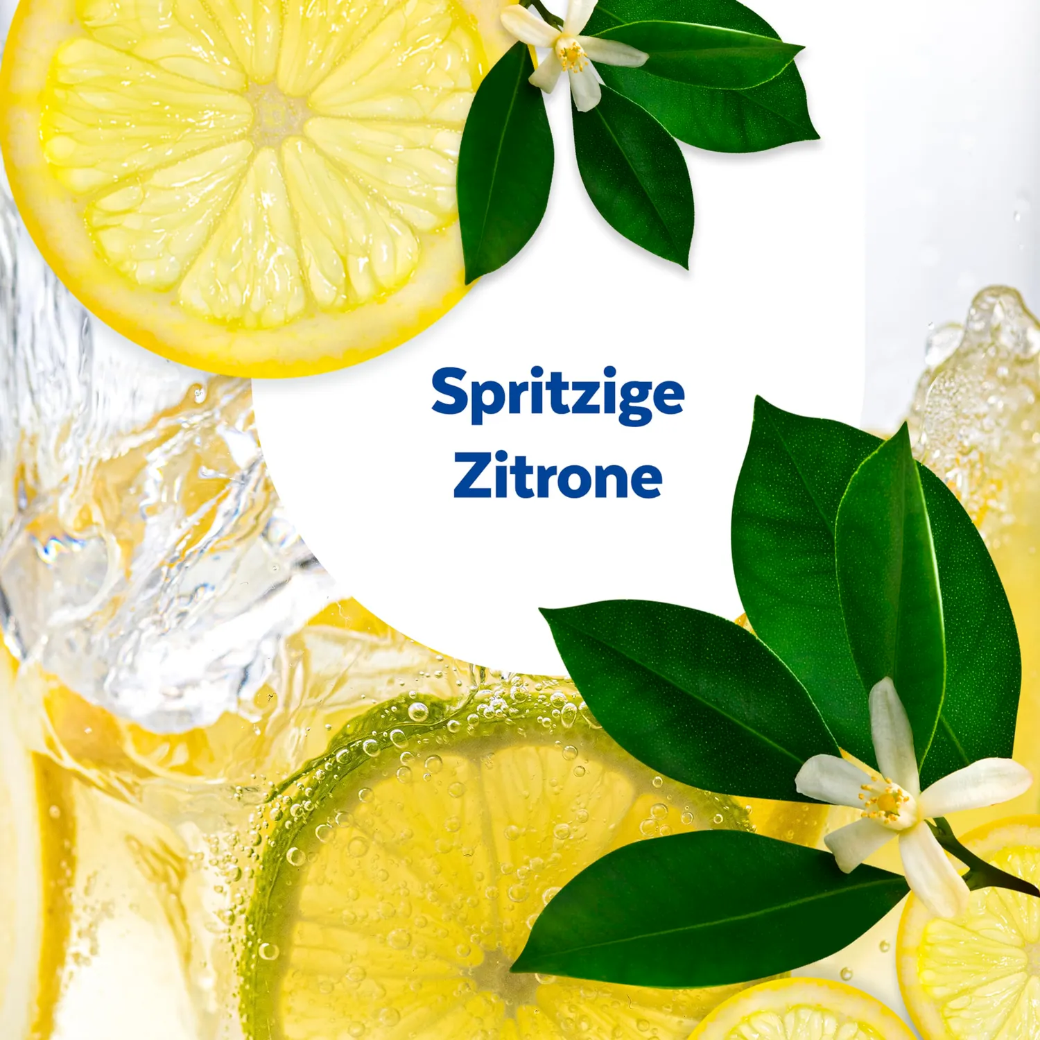 Sagrotan Küchen-Reiniger Zitrone Spray 4x750ml fettlösend