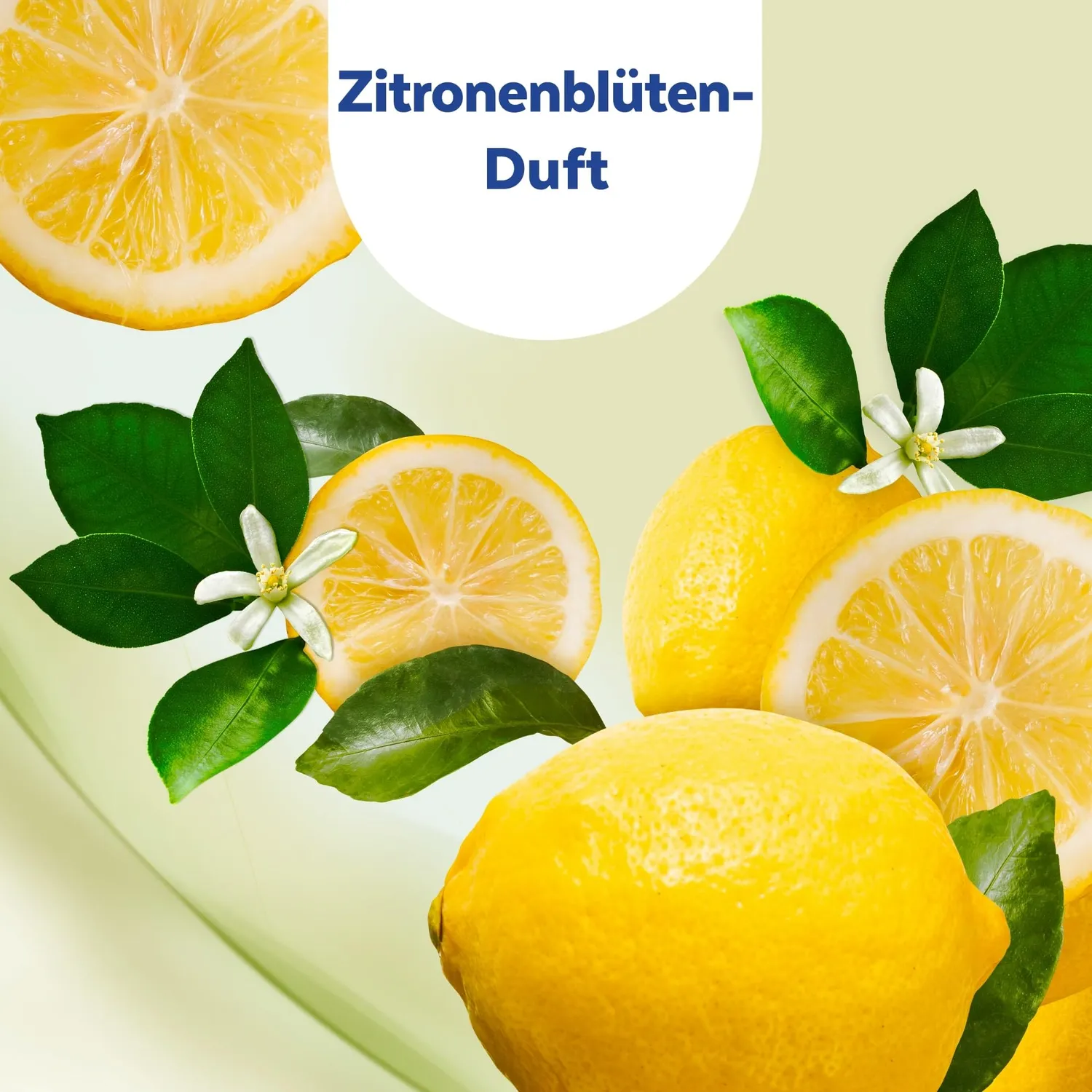 Sagrotan 2in1 Desinfektionstücher 15 Tücher Zitronenblüte