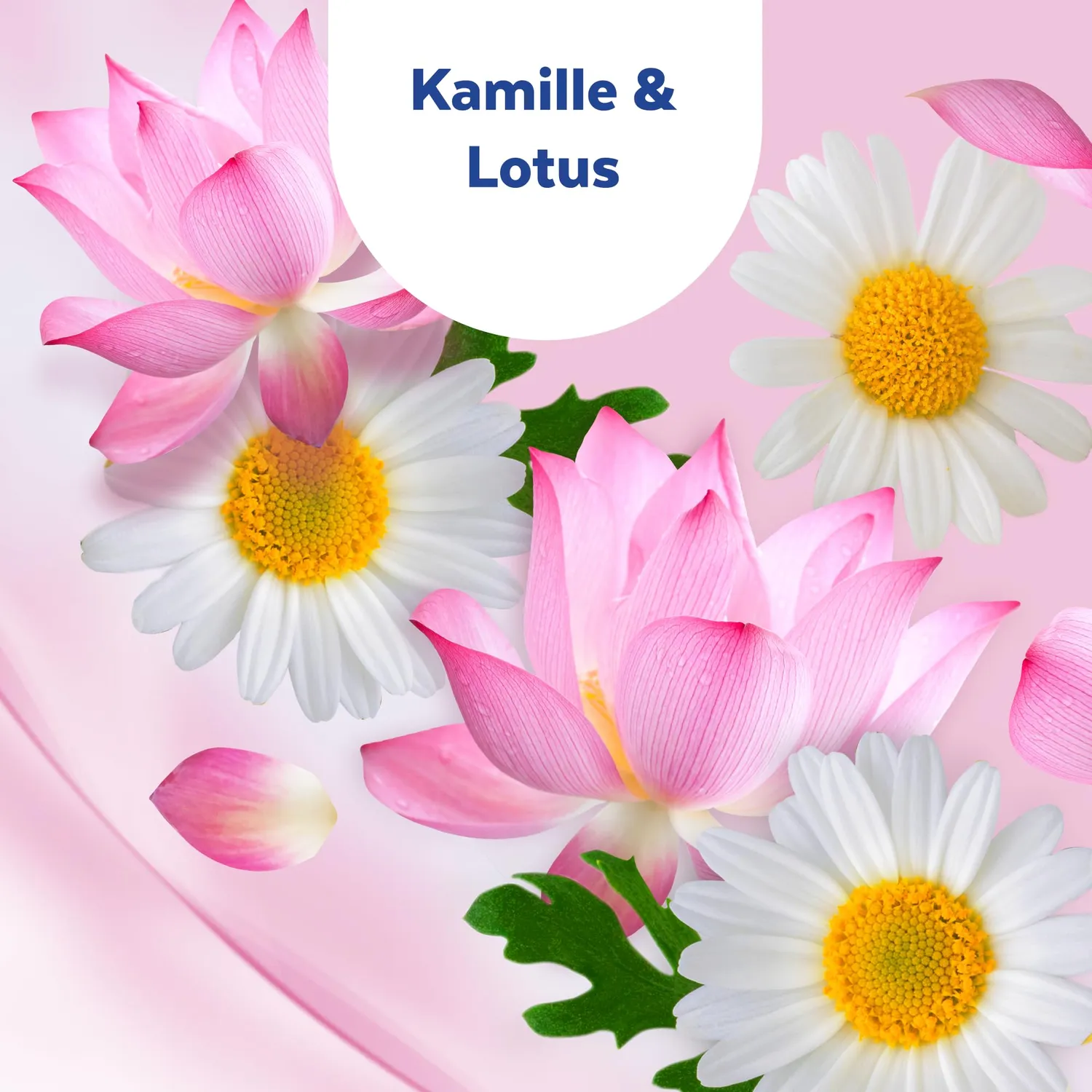 Sagrotan Hand-Desinfektionsgel Kamille Lotus 50 ml Reisegröße