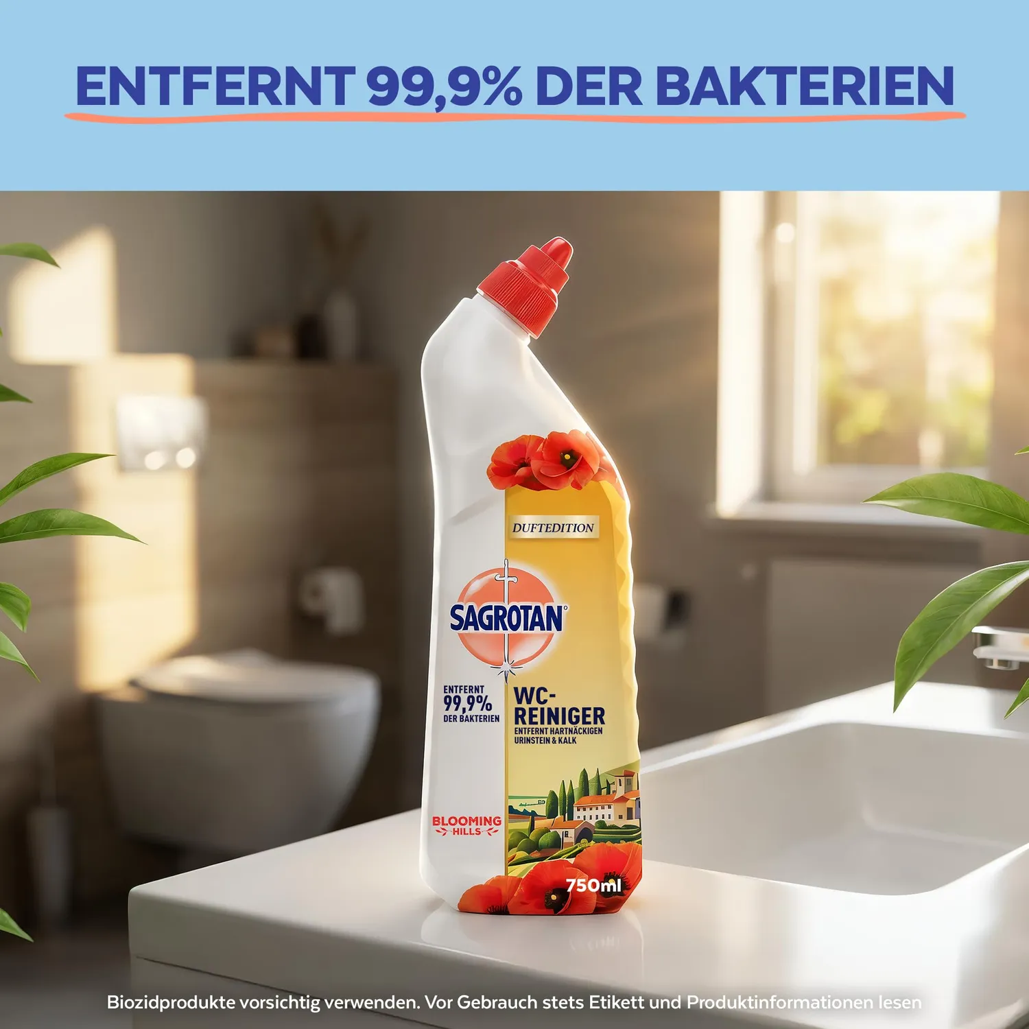 Sagrotan Blooming Hills WC-Reiniger 750 ml desinfizierend