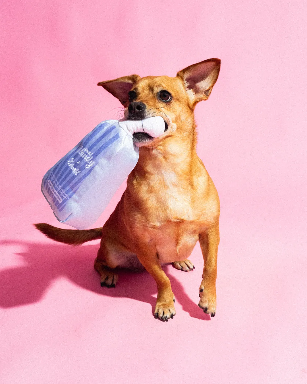 Merci Handy Bandit Plüsch Hundespielzeug mit Quietscher