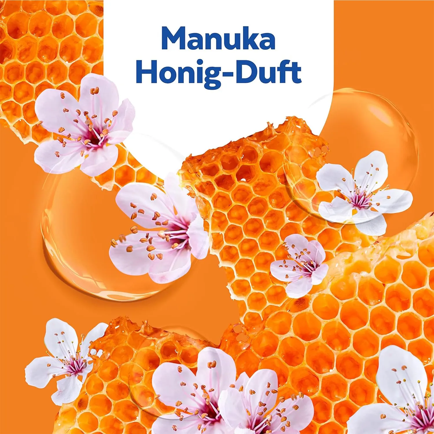 Sagrotan Handseife Manuka Honig Flüssigseife 6x250ml Pflege