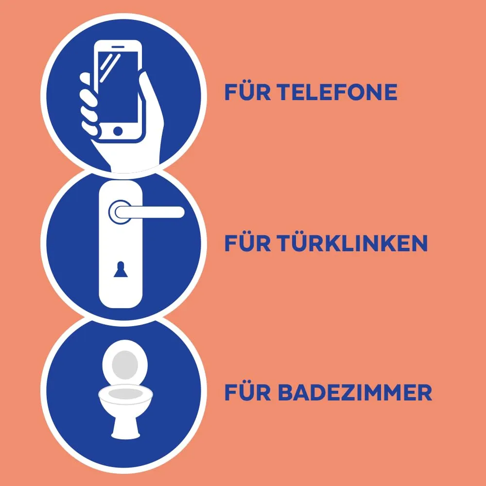Sagrotan Hygiene Pumpspray 2x250ml gegen Bakterien Viren