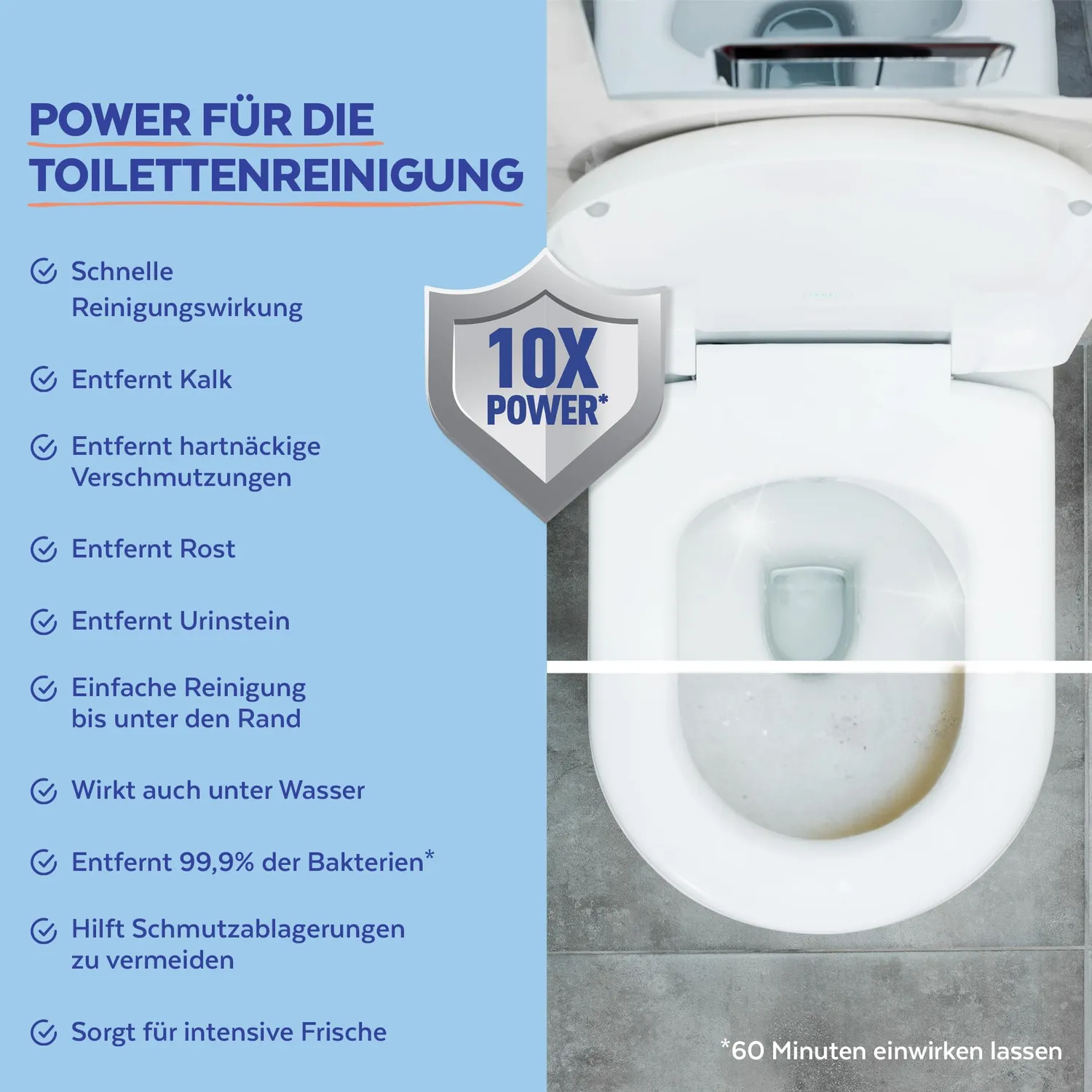 Sagrotan WC-Reiniger Blütenfrische WC-Gel 750 ml Antischmutzfilm