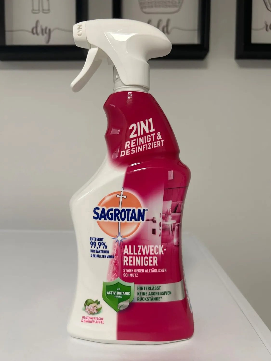 Sagrotan 2in1 Allzweck-Reiniger Spray 6x750 ml Apfel-Blüte