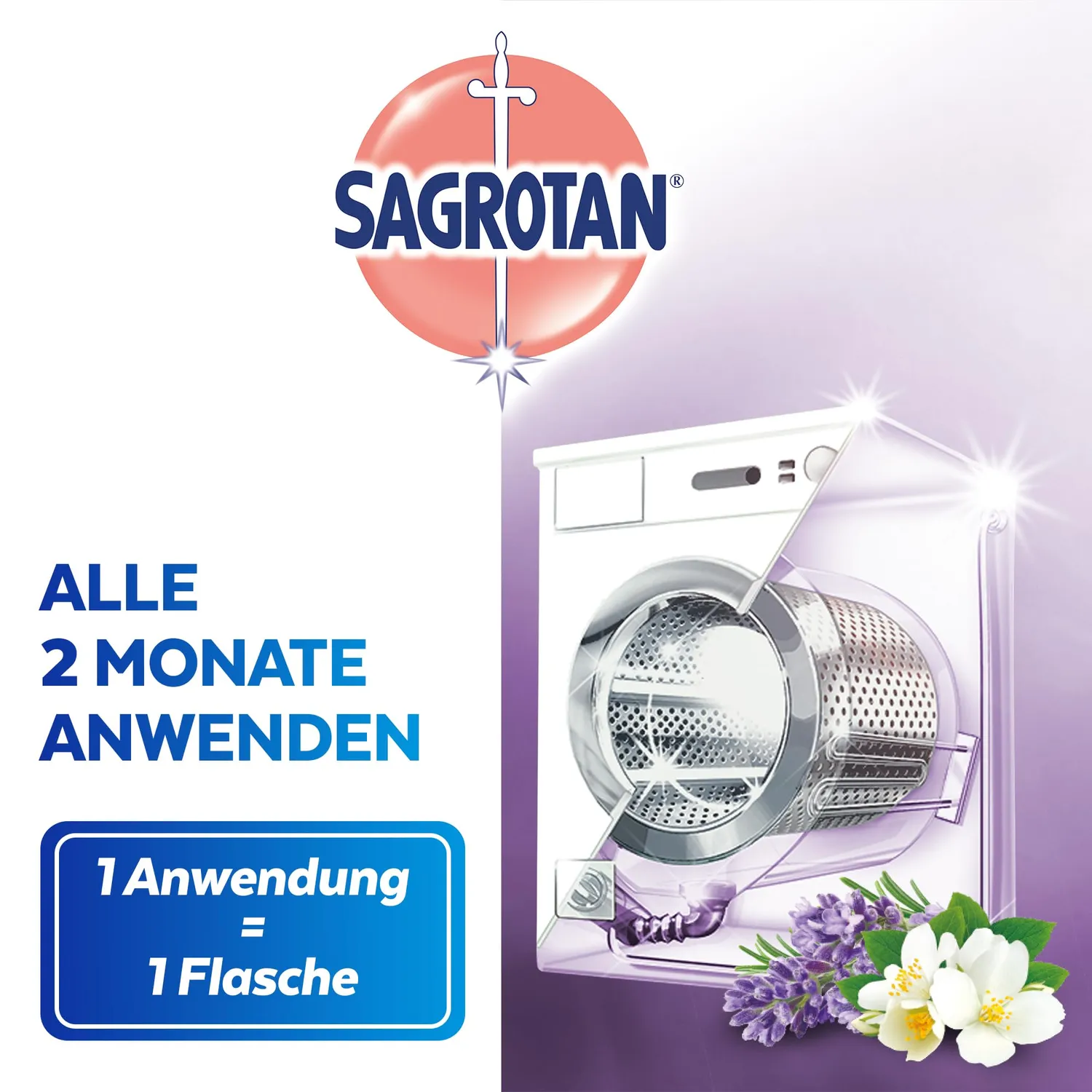 Sagrotan Waschmaschinen Hygiene-Reiniger Frühlingsfrische 4x250ml