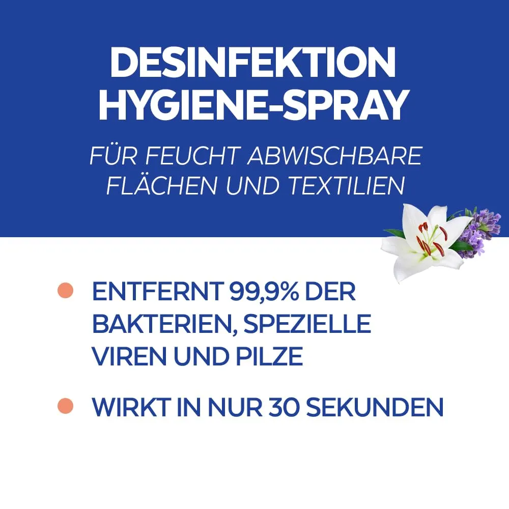 Sagrotan Hygiene Pumpspray 2x250ml gegen Bakterien Viren