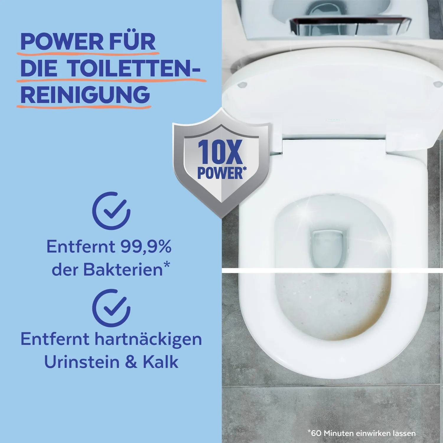 Sagrotan Blooming Hills WC-Reiniger 750 ml desinfizierend
