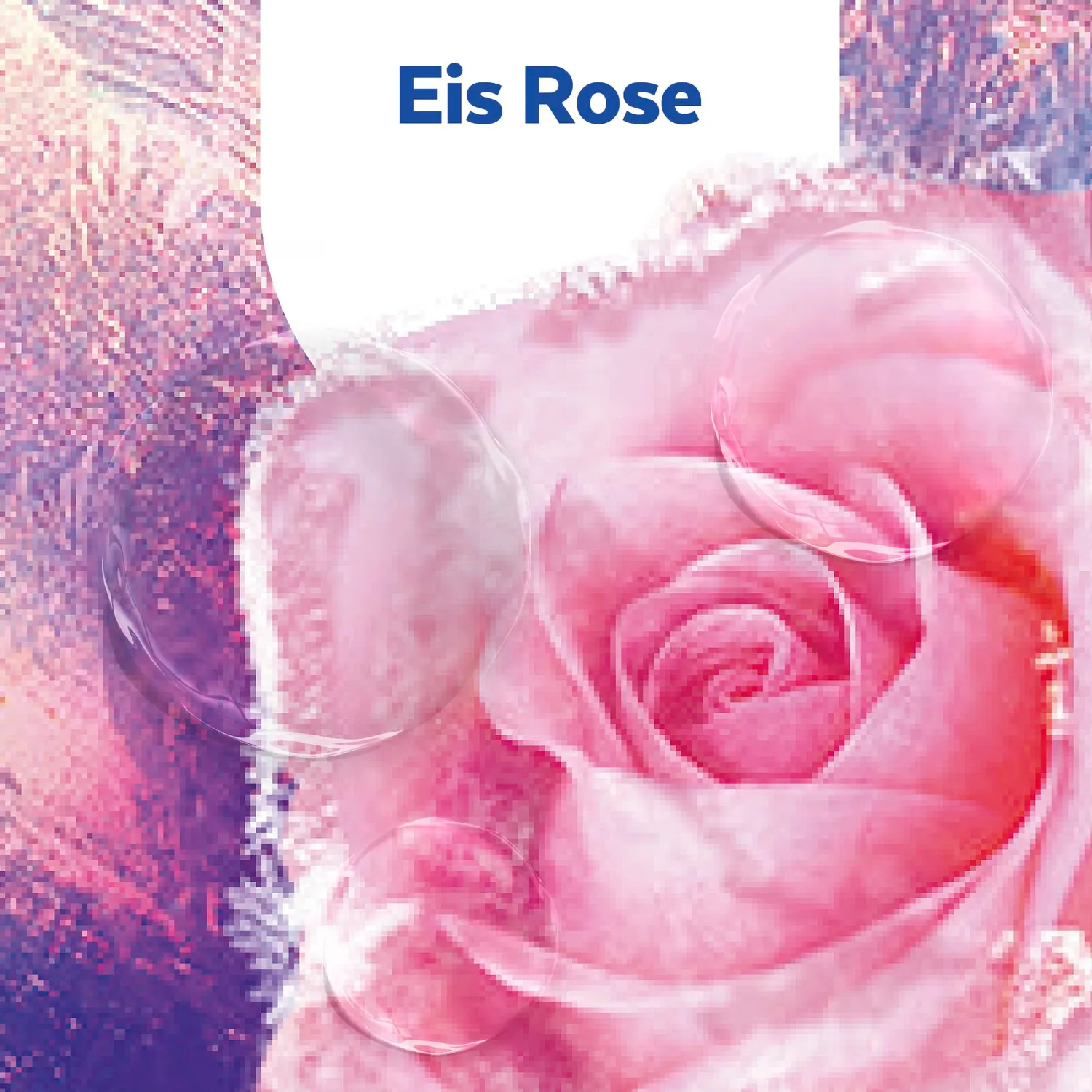 Sagrotan No-Touch Nachfüller 5x250ml Eis Rose Seife