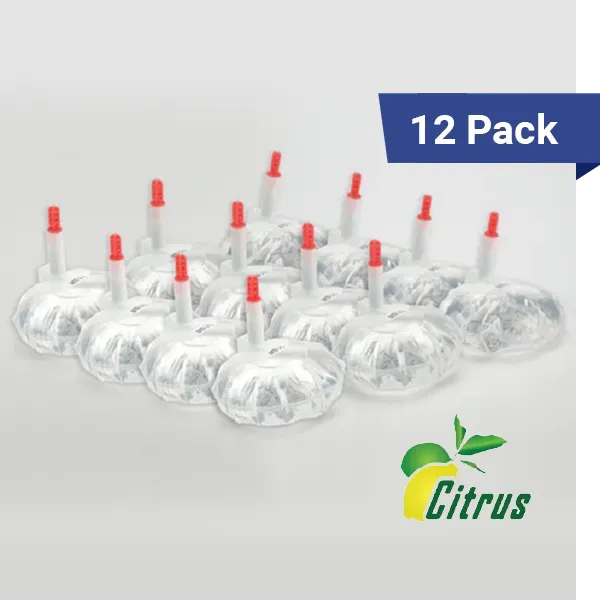 Germstar Nachfüllung Händedesinfektion Citrus 12oz 12er-Pack
