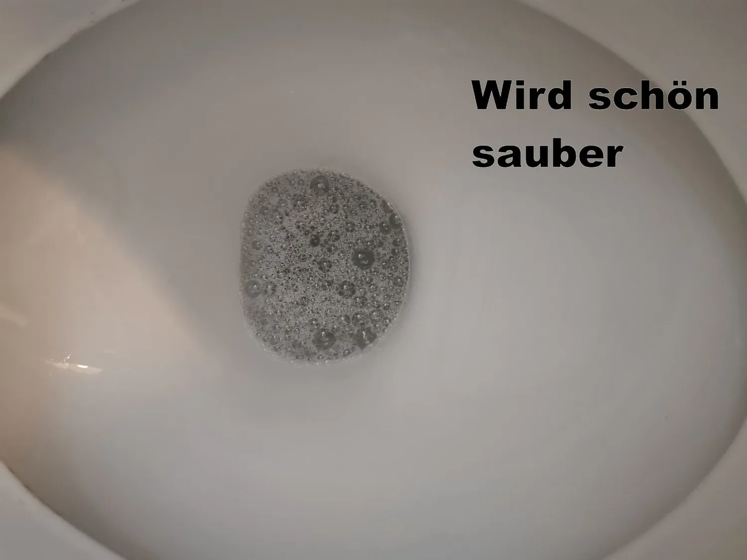 Sagrotan WC-Reiniger Ozeanfrische Gel 4x750ml Antischmutzfilm