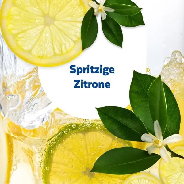 Sagrotan Hygiene Plus WC-Spüler 3er Pack Zitrone frisch