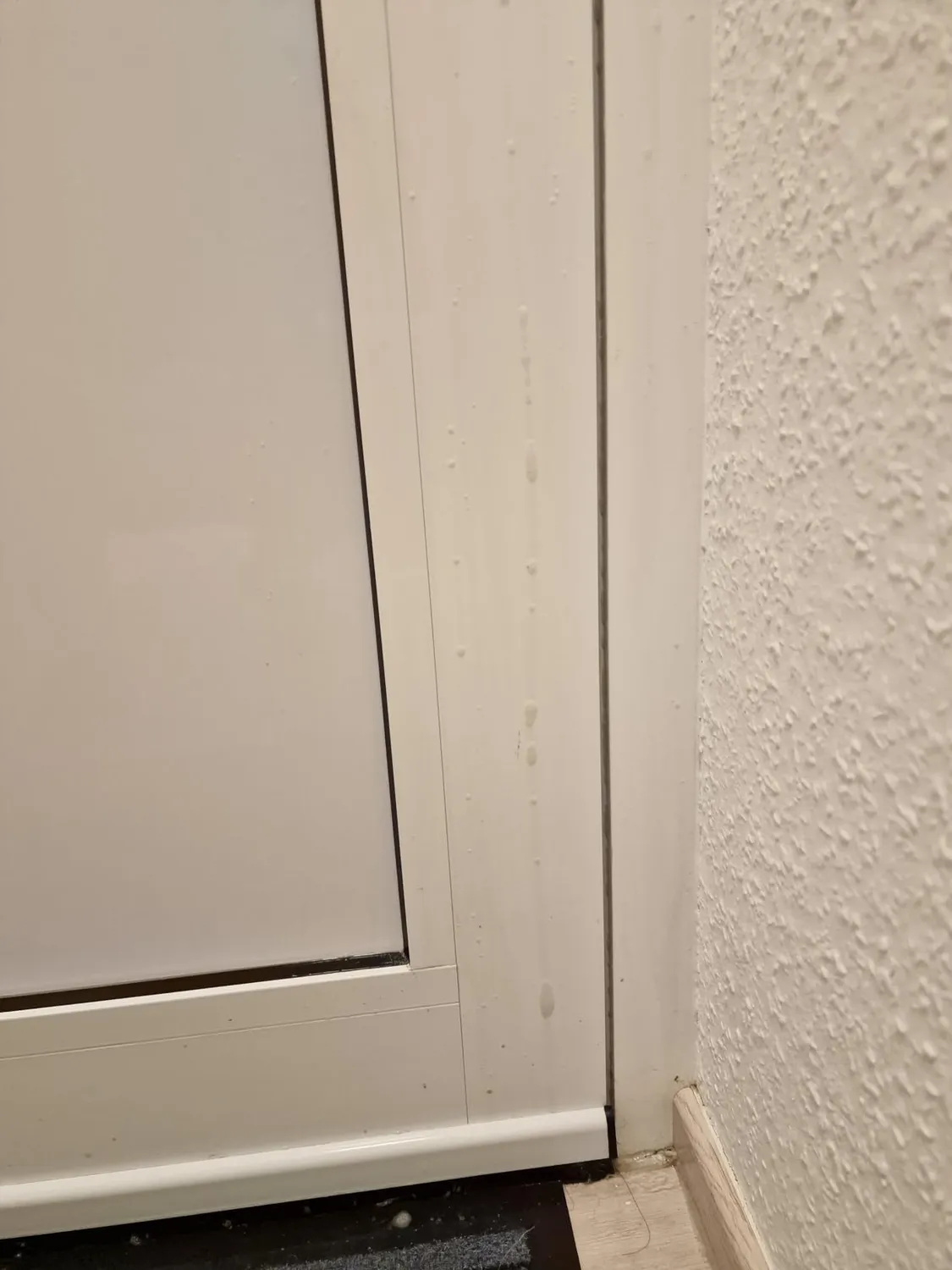 Sagrotan 2in1 Allzweck-Reiniger Spray 6x750 ml Apfel-Blüte