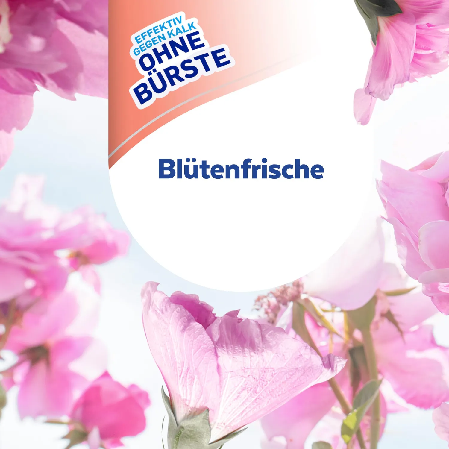 Sagrotan WC-Reiniger Blütenfrische WC-Gel 750 ml Antischmutzfilm