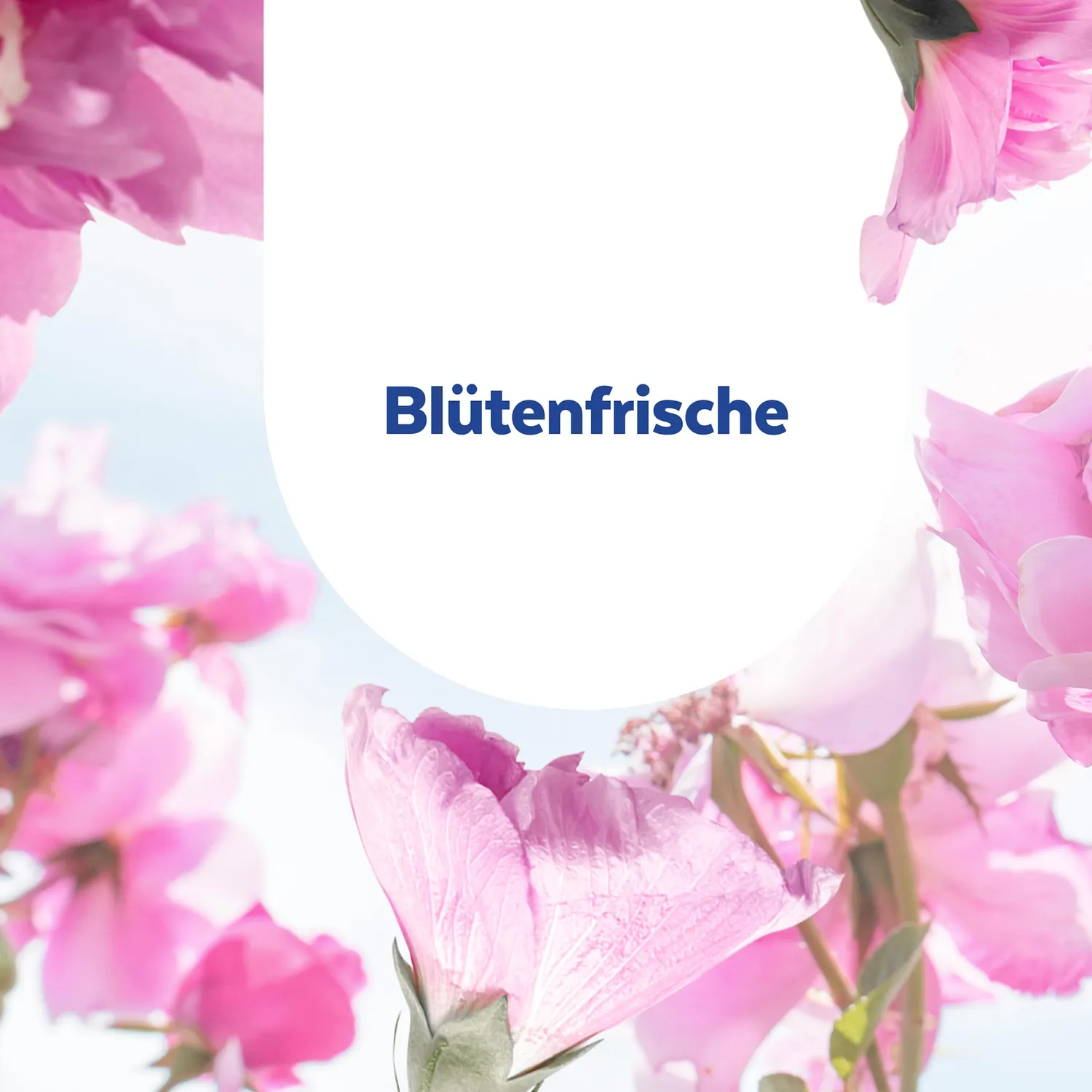 Sagrotan Allzweck-Reiniger Blütenfrische Desinfektion 5x1,5l 2in1