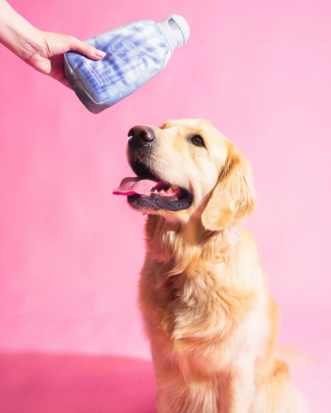 Merci Handy Bandit Plüsch Hundespielzeug mit Quietscher