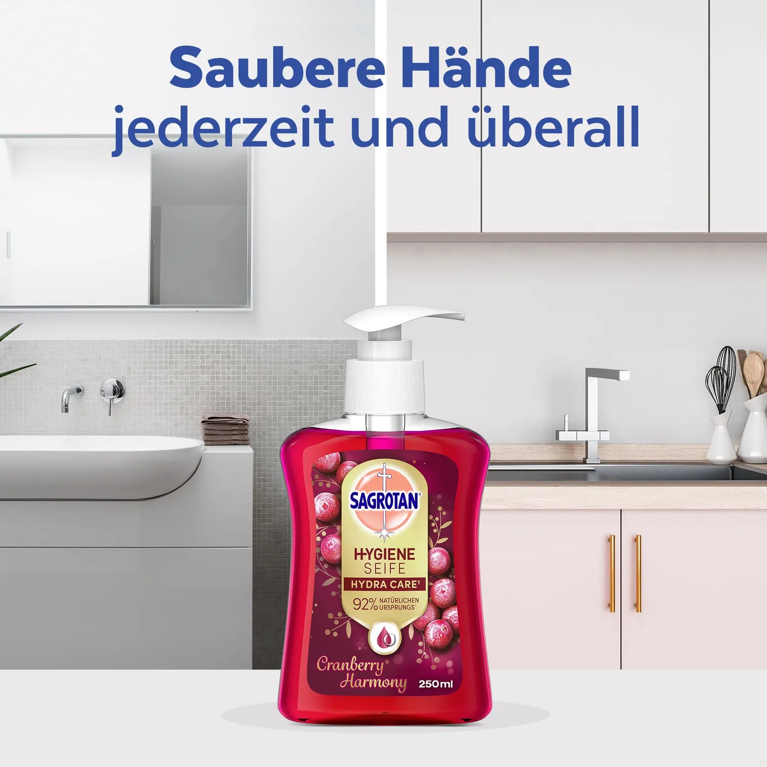 Sagrotan Cranberry Handseife 6x250ml Seifenspender Limited Edition