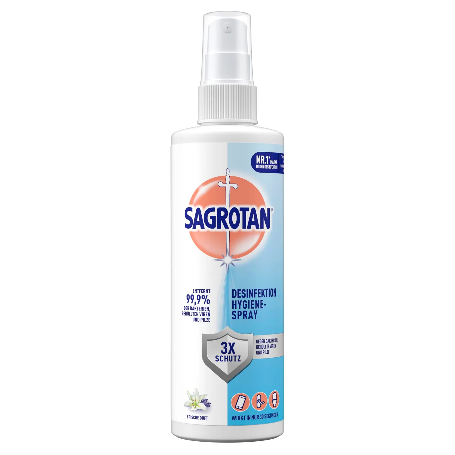 Sagrotan Hygiene Pumpspray Desinfektionsspray 10x250ml antibakteriell