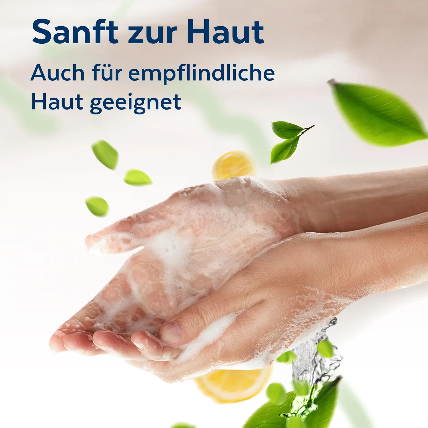 Sagrotan Frisch und Fruchtig Handseife 5x300ml Milchsäure