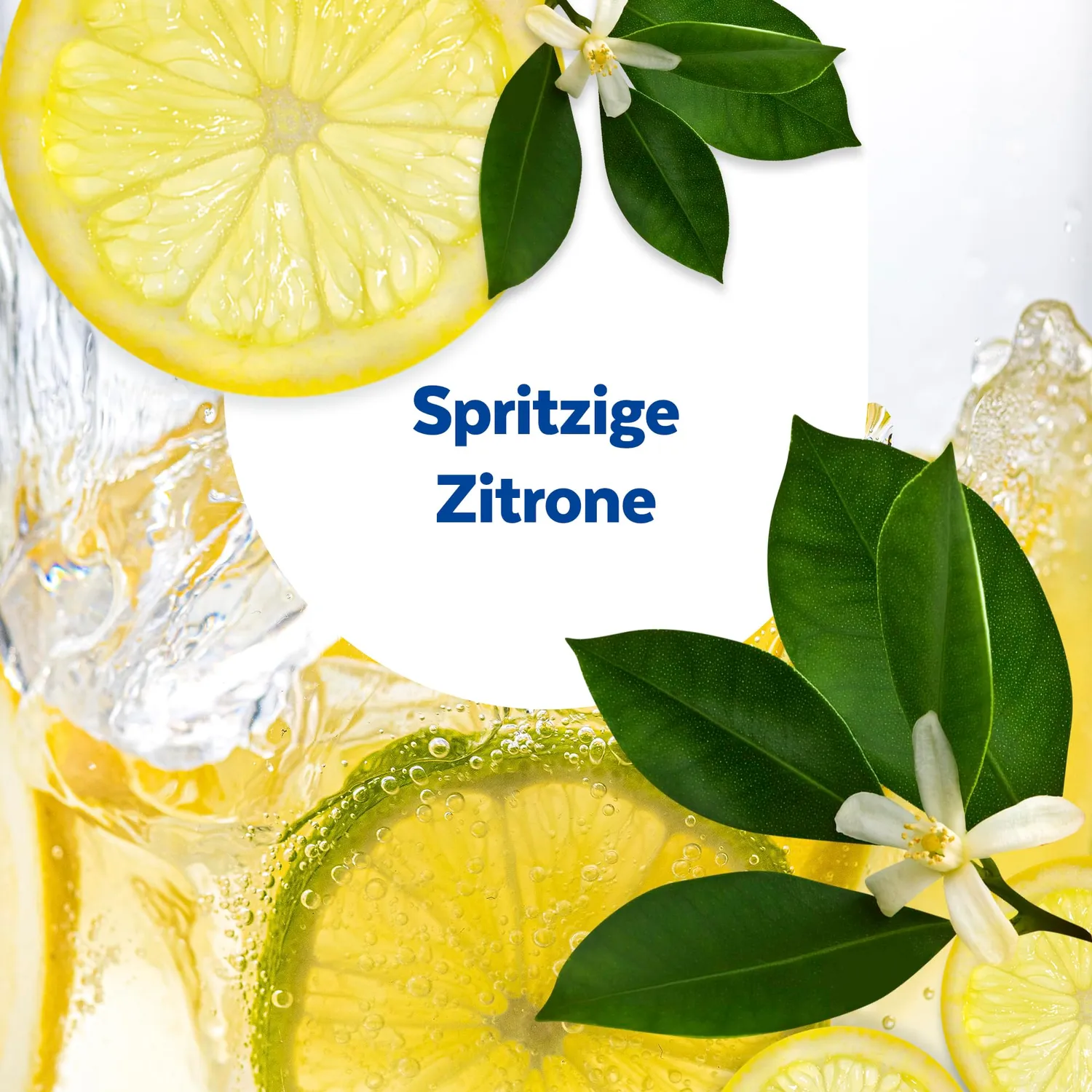 Sagrotan Toilettenfrische Hygiene Plus WC-Spüler Zitrone 6er Pack