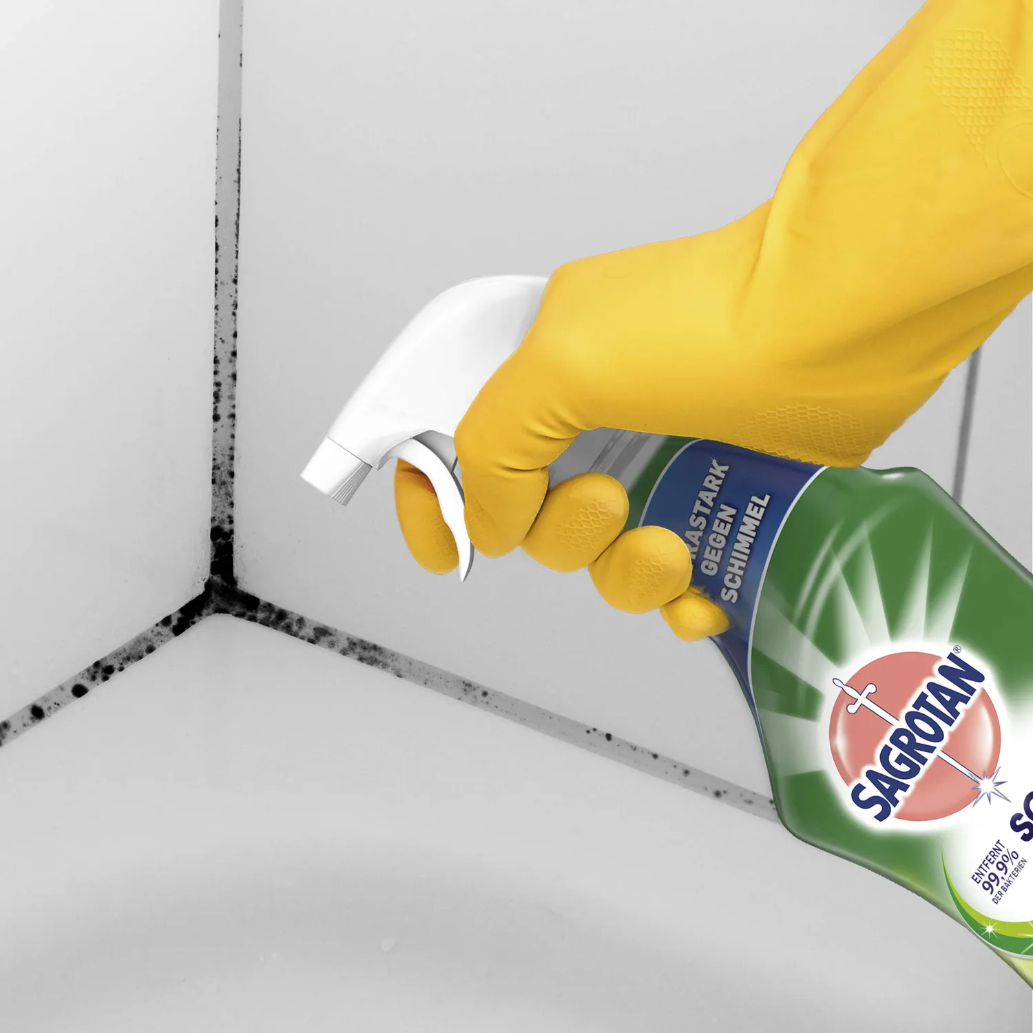 Sagrotan Schimmel Frei Schimmelentferner Spray 750ml mit Chlor